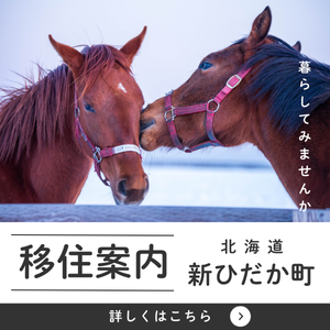 �V�Ђ������@�Ó��@�ڏZ